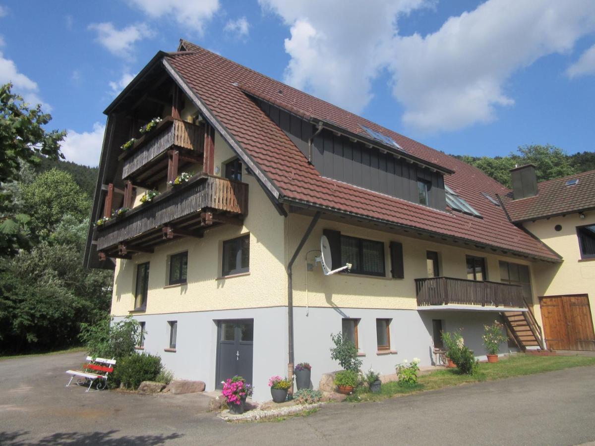 Ferienwohnungen Schwabenhof 施拉姆贝格 外观 照片
